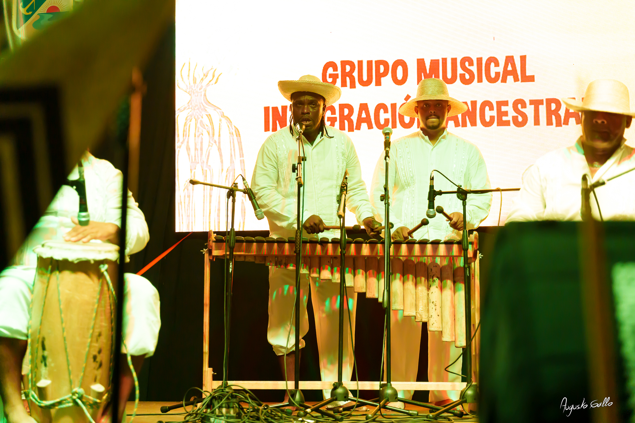 Gran nivel artístico en las audiciones del Petronio Álvarez 2025 en Buenaventura