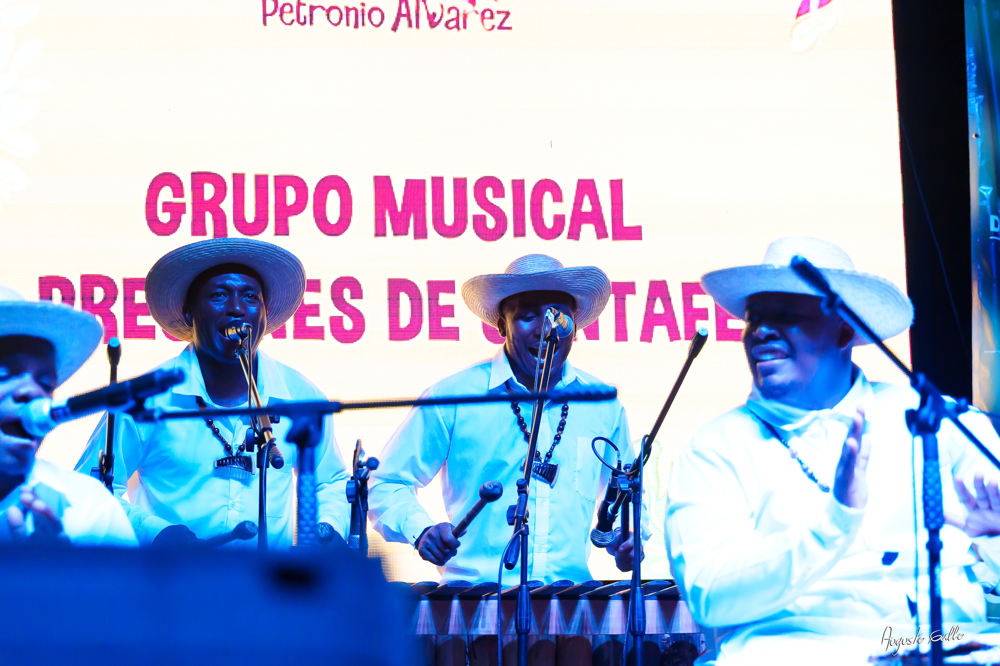 Gran nivel artístico en las audiciones del Petronio Álvarez 2025 en Buenaventura