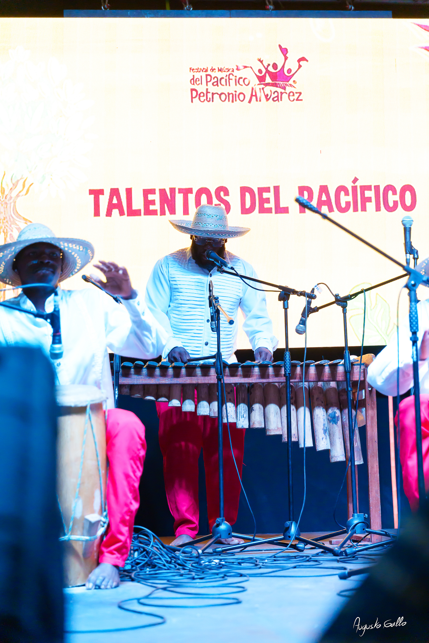 Gran nivel artístico en las audiciones del Petronio Álvarez 2025 en Buenaventura