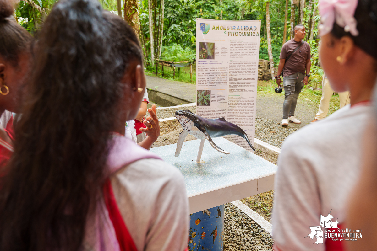 La ruta del concierto de aves en formato artístico y educativo en el campus de la Universidad del pacifico