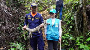 El EPA atendió más de 120 animales silvestres y reforzó presencia comunitaria en Buenaventura