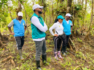 El EPA Buenaventura restauró 20 hectáreas de manglar en la comunidad de Papagayo