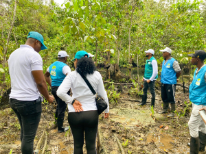 El EPA Buenaventura restauró 20 hectáreas de manglar en la comunidad de Papagayo