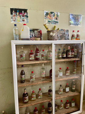 Encuentro cultural en Triana, zona rural de Buenaventura, destacó el saber ancestral del viche