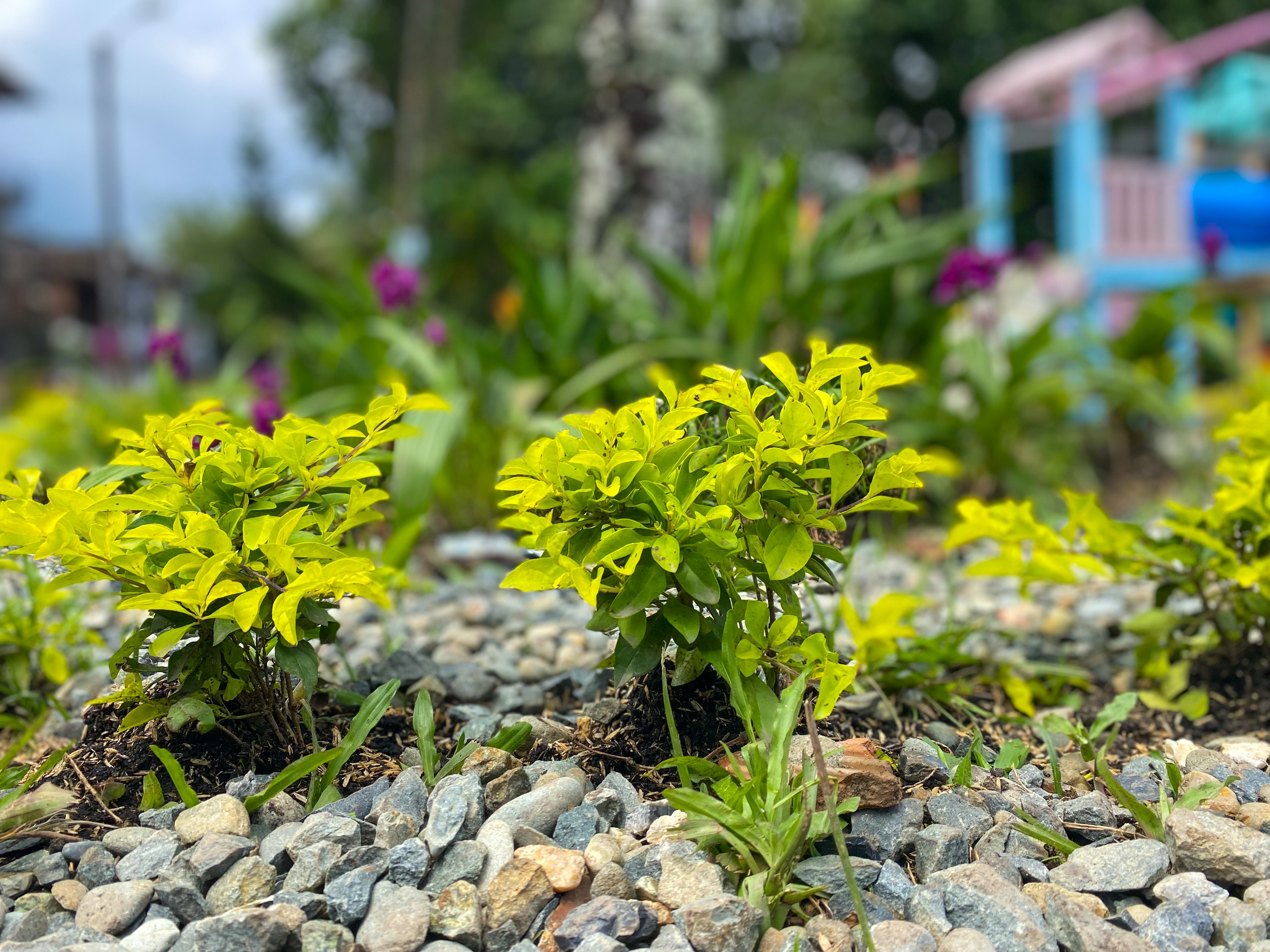 EPA Buenaventura transforma la ciudad con cinco parques ecológicos construidos en madera plástica reciclada