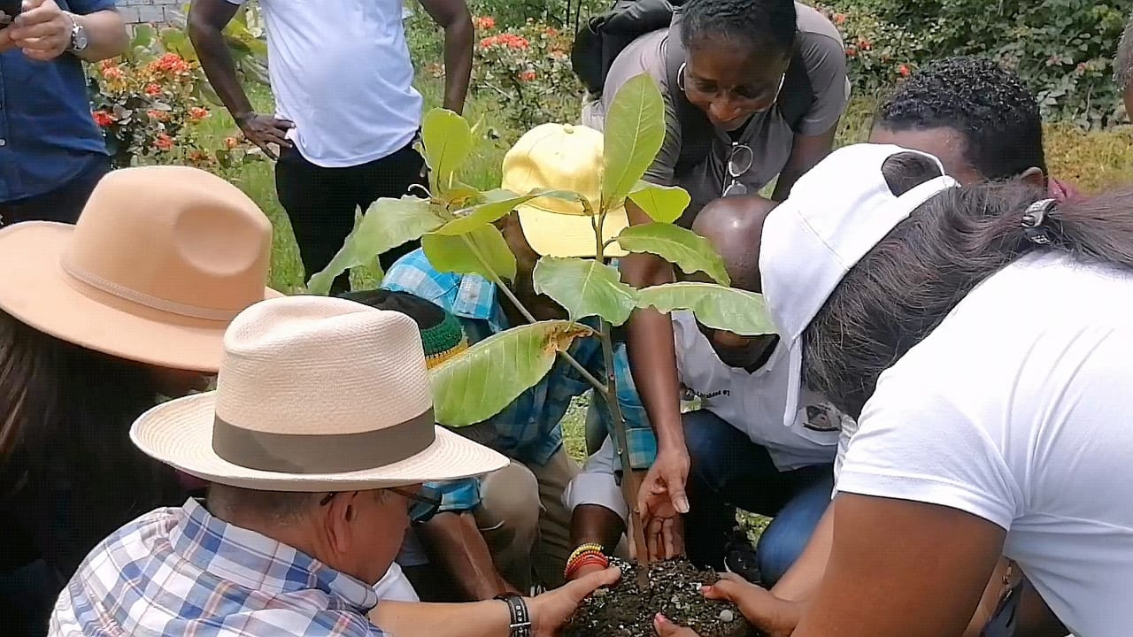 Alcaldía de Buenaventura y comunidad de la Comuna 12 avanzan en diagnóstico para proyecto Ecos Barrios de Paz