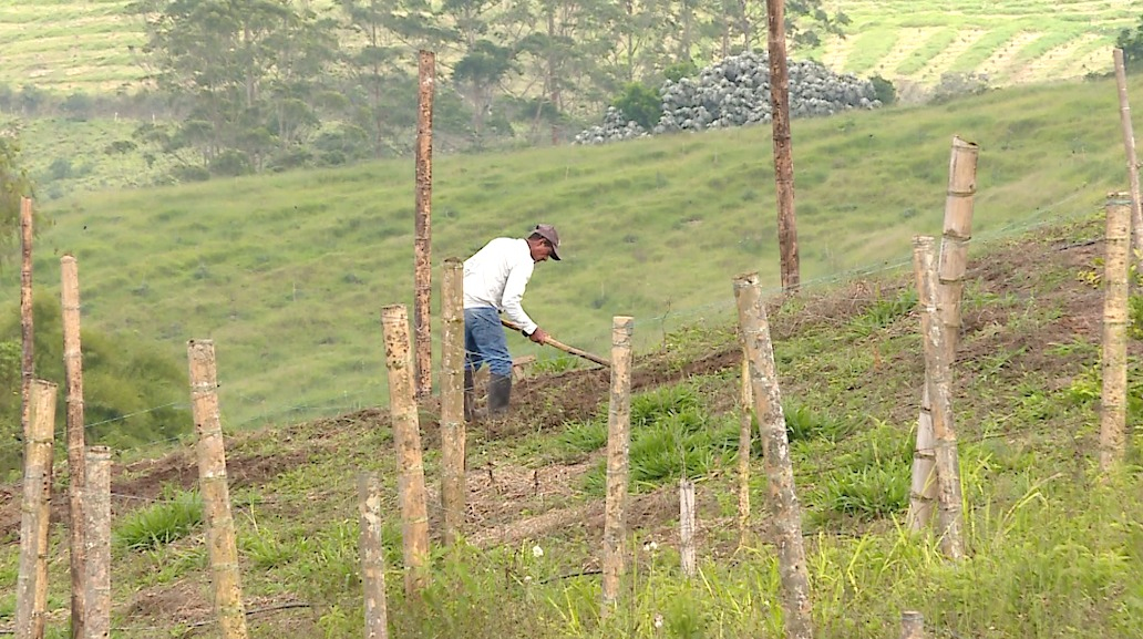 La Gobernadora del Valle pide priorizar a campesinos e indígenas del departamento en entrega de tierras