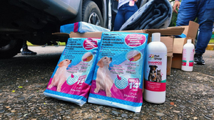 La Administración Distrital refuerza acciones de bienestar animal en albergues de Buenaventura