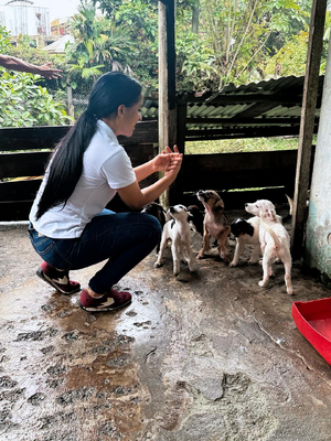 La Administración Distrital refuerza acciones de bienestar animal en albergues de Buenaventura