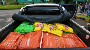 La Administración Distrital refuerza acciones de bienestar animal en albergues de Buenaventura