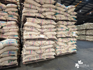 Con m&aacute;s de 11 millones de toneladas movilizadas, la SPRBUN logr&oacute; un crecimiento del 32 % en medio de un a&ntilde;o retador