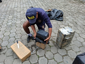 La Armada de Colombia incauta cerca de tres toneladas de clorhidrato de coca&iacute;na cerda de Tumaco