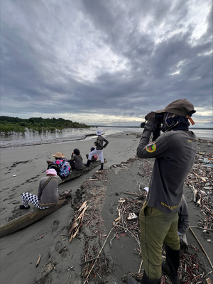 Buenaventura se suma a proyecto internacional de monitoreo de aves playeras migratorias