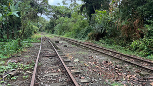 San Cipriano, modelo de conservaci&oacute;n ambiental y ecoturismo en el Pac&iacute;fico colombiano