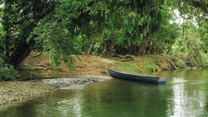 San Cipriano, modelo de conservaci&oacute;n ambiental y ecoturismo en el Pac&iacute;fico colombiano