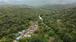 San Cipriano, modelo de conservaci&oacute;n ambiental y ecoturismo en el Pac&iacute;fico colombiano