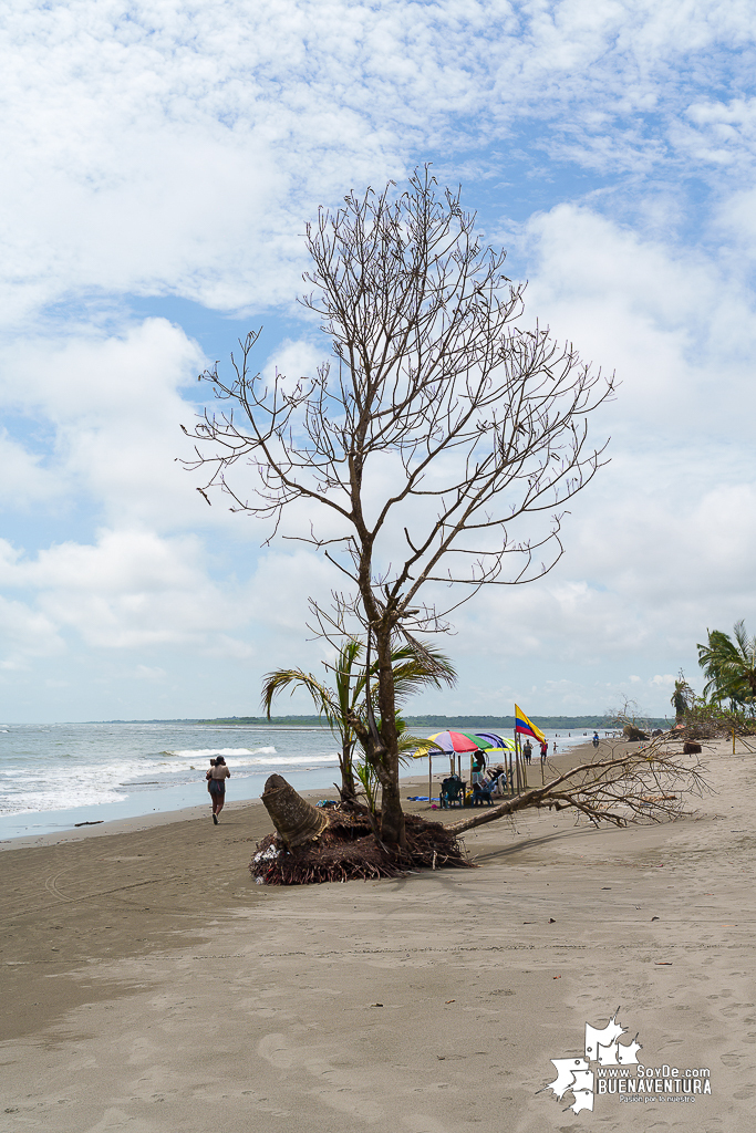 Juanchaco, Ladrilleros  y La Barra reciben a turistas en Semana Santa 2026 con alta ocupaci&oacute;n y rica oferta natural