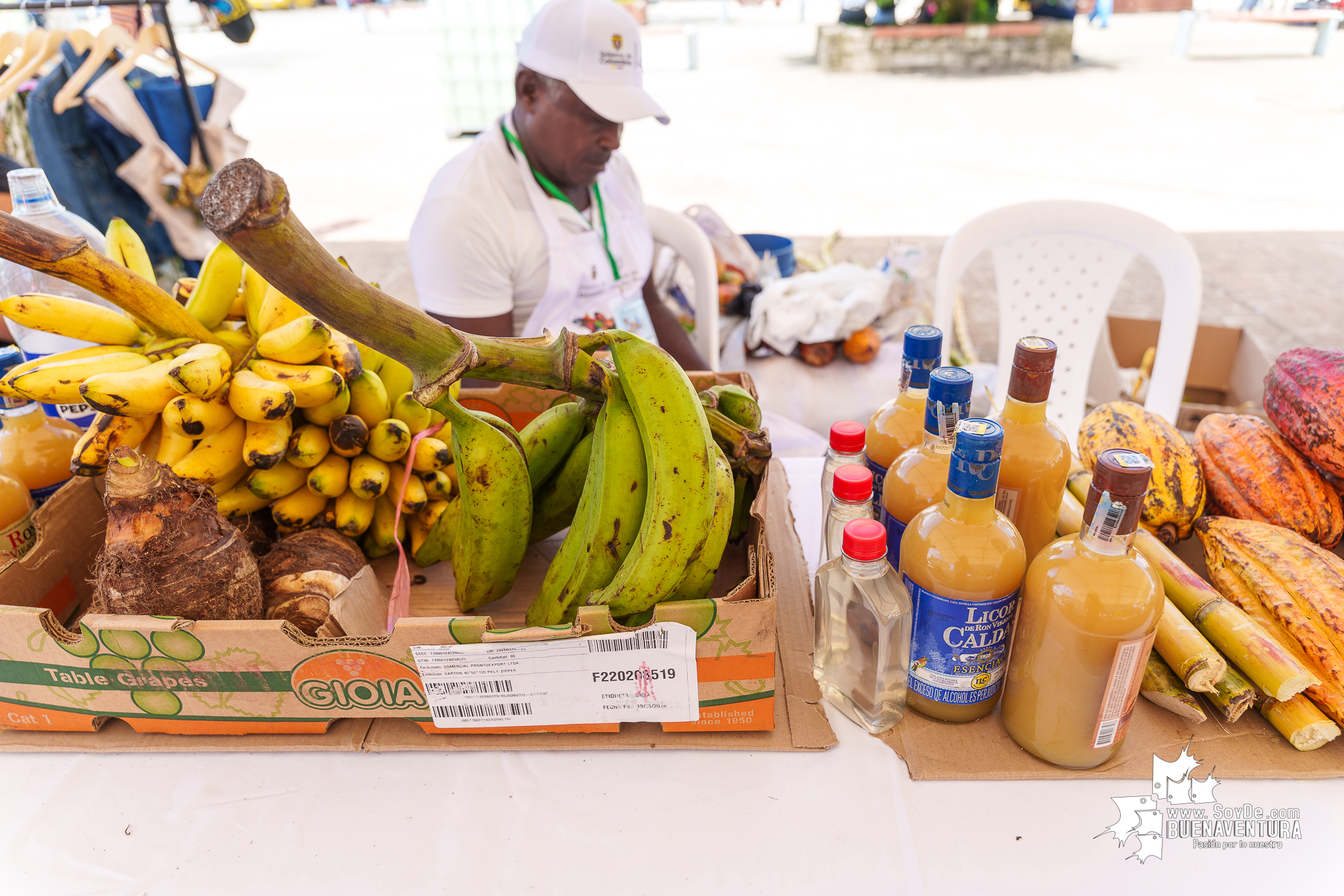 La Etnoagroferia para la Vida en Buenaventura impuls&oacute; la comercializaci&oacute;n directa de peque&ntilde;os productores