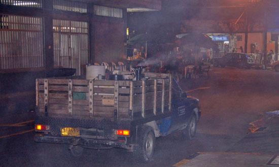 En Buenaventura se hacen controles para afrontar el dengue
