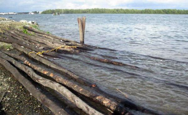 La Policía Nacional halla madera abandonada