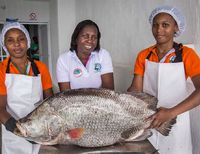 Una pesca responsable para el Pacífico Colombiano