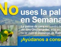 EPSA te invita a no usar la palma de cera en este Domingo de Ramos
