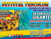 Disfruta los partidos de la Selección Colombia en la Copa América de Chile 2015 en pantallas LED
