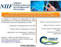 ¿Ya implementó o está implementando las Normas Internacionales de Información Financiera en su empresa?