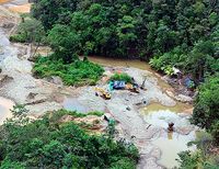 Fuerza pública realiza operación contra la minería ilegal en el litoral pacífico vallecaucano
