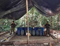 Destruidos tres laboratorios para la extracción de cocaína en el pacífico