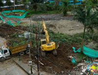 1.807 árboles serán reforestados en la obra Malecón Bahía de la Cruz