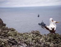 Presidente anunció ampliación de área protegida del Santuario de Flora y Fauna de Malpelo