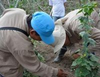 Modelo de reintegración temprana para excombatientes se implementa con éxito en el norte del Valle del Cauca