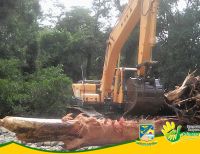 Retiran árbol en el charco La Tortuga en San Cipriano que causaba emergencias a los bañistas