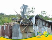 Vendaval afectó 37 viviendas y arrasó con cultivos de la vereda Las Palmeras del corregimiento Ocho en Buenaventura