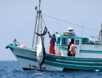 Aunap participa de Tercer Simulacro de Pesca Ilegal e Ilícita en el Pacífico