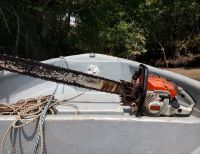CVC incautó motosierras a cortadores de mangle