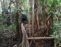 La Armada Nacional destruyó un laboratorio usado para la producción de clorhidrato de cocaína