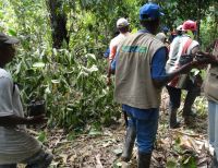 El corregimiento del Bajo Calima fue escogido como uno de los 'Núcleos Forestales' de Colombia
