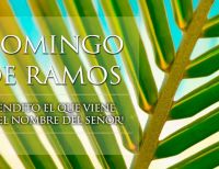 La CVC liderará campaña educativa para evitar uso de palmas silvestres en domingo de ramos
