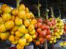 En Buenaventura se implementa control biológico para proteger cultivos de chontaduro