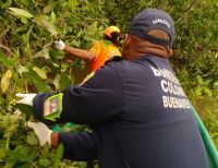 Encuentran cuerpo de menor arrastrado por las aguas durante fuerte aguacero en Buenaventura