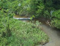 Sistemas de última tecnología permiten incautación de cerca de una tonelada de alcaloides en el Cauca