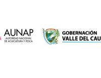 El Valle le apuesta a la producción de peces ornamentales en Buenaventura