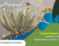 El Gobierno nacional entregó todos los 37 complejos de páramos del país protegidos