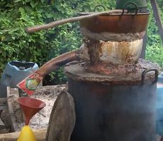 La Gobernaci&oacute;n del Valle del Cauca impulsa formalizaci&oacute;n e internacionalizaci&oacute;n del viche del Pac&iacute;fico colombiano