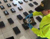 Policía incautó sustancias alucinógenas en diferentes operativos