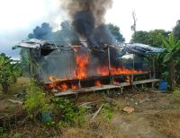 Destruidos dos laboratorios para el procesamiento de alcaloides en López de Micay, Cauca