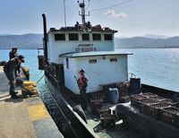 La Armada Nacional incautó más de 3 mil millones de pesos en mercancía de contrabando