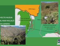Consejo Directivo de la CVC da viabilidad para sustracción de área protegida para permitir la construcción de la vía Mulaló-Loboguerrero